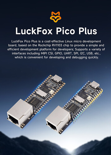 Luckfox-Pico-Plus-details-1